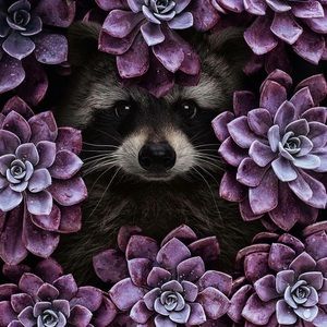 Meet your Posher, Kendall